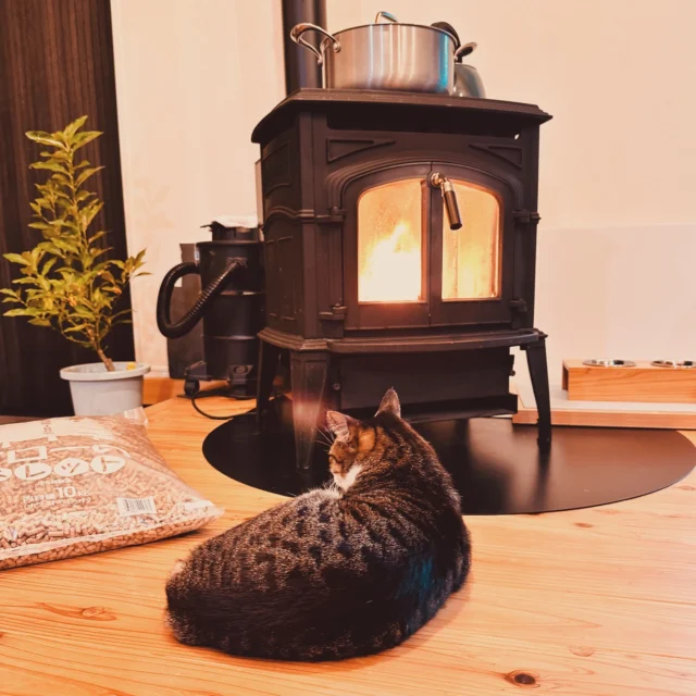 流行は変わるけど、家族の記憶は色褪せない。
一瞬の「今っぽさ」より、ずっと続く「好き」を  シンクホーム｜群馬
〜Wool＆Wood  
SHINKU HOME deaign FLAT HOUSE〜  自然素材でつくる平屋のデザインハウス専門店　  『流行に流されない』『自分らしさ』を大切にする住まいのアイデアをお届けします。  ＿＿＿＿＿＿＿＿＿＿＿＿＿＿＿＿　  資料請求・無料相談会・見学会の申し込みはHPからよろしくお願いします。
⬇️詳しくはプロフィールのリンクから
@shinku_home 
＿＿＿＿＿＿＿＿＿＿＿＿＿＿＿＿  【家づくりの特徴】
① 赤ちゃん基準のやさしい家づくり
アトピー､シックハウスに悩まされ･･･
羊毛断熱材･無垢材・コットン･しっくい・化学物資過敏症対応  ② 超長期優良住宅への取り組み
建築地と暮らし方で考える高断熱・高気密住宅
適地適作の家づくりで過剰スペックを抑える　  ③  平屋のすすめ
結婚・子育て・独立・夫婦二人・介護
コミュニケーション・家事楽だから永年満足　  ④  流行に流されない家　美しいデザインコードでつくる自由設計の平屋　企画住宅でありながら同じ家は一つもない、こだわりをめいっぱいつめこんでもけっして失敗しない、コンセプト型の注文住宅  ⑤  正しいライフプランのすすめ
借りられる住宅ローンで予算を決めてはいけない「変動､固定、団信、三大疾病、繰上げ返済、40年、50年、新NISA、イデコ･･･」
先ずは正しいお金の知識を身につけて下さい。  ⑥  床暖房も全館空調もいらない
実際の住み心地の体感
オーナー邸（シンクホームのＯＢ様）で展示場では伝わらないリアル暮らしを体感ください。　  ⑦  夢ノートではじめる家づくり　「自分らしさ」にとことんこだわりを。
家づくりの目的を明確にします。あなたの夢をあきらめない、妥協しない家づくり  〜〜〜〜〜〜〜〜〜〜〜〜〜〜〜
先ずは相談会へお越しください。
ご予約はホームページからお願いします🤲
プロフィールのリンクからHPへ
@shinku_home  #赤ちゃん基準の家づくり#自然素材の家 #無垢材 #羊毛断熱材 #高気密高断熱長期優良住宅 
流行に流されない
あきることのないデザイン
美しい平屋平屋ぐんまの平屋
群馬工務店前橋工務店高崎工務店
マイホーム注文住宅新築住まい見学会
シンクホーム