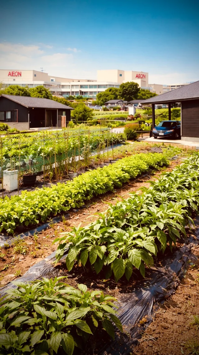家を建てることは、
暮らし方を選ぶこと。  便利な時代だからこそ、
土に触れ、体を動かす時間が
大切だと私たちは考えています。  シンクホームでは、
農家さんと連携した
体験型農園を
希望される方にご案内しています。  まずは体験から。
もっと続けたい方には
貸し農園という選択も。  注文住宅も、戸建て賃貸も。
家の外まで、暮らしを考える住まいです
#シンクホーム　#ぐんまの平屋 #自然素材の家 #注文住宅